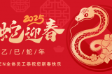 辭舊迎新，蛇舞華章丨深圳容金科技全體員工祝您新春快樂！